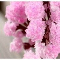 Набір для вирощування кристалів "Magic Sakura" Чарівна сакура