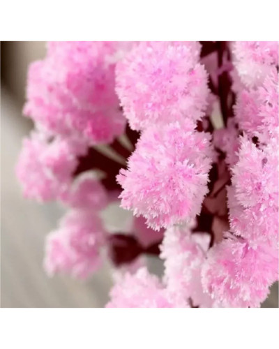 Набор для выращивания кристаллов "Magic Sakura"