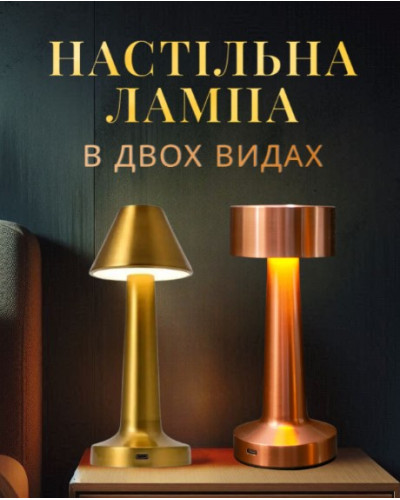 Настольная лампа с аккумулятором (бронза)  (3675-4574)