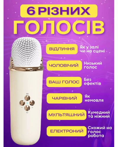 Детское беспроводное ретро караоке - Pulse Platinum C20 Plus