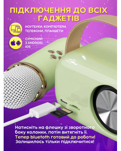 Детское беспроводное ретро караоке - Pulse Platinum C20 Plus