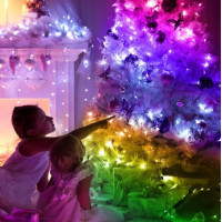Гирлянда LED 10 м c дистанционным управлением