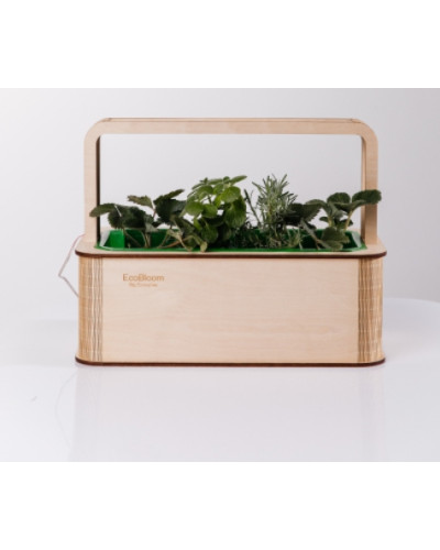 EcoBloom: Умный набор для выращивания "Чайный набор"