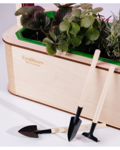 EcoBloom: Умный набор для выращивания "Чайный набор"