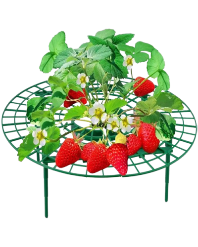 Подставка под клубнику, кустодержатель (комплект 5 шт.)