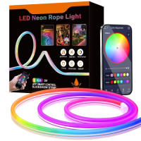 Светодиодная неоновая USB Led лента RGB 5 метров
