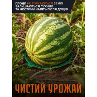 Набор подставок для защиты садовых плодов (10шт)