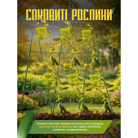 А-образная опора для вьющихся растений с сеткой