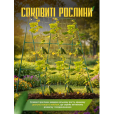 А-образная опора для вьющихся растений с сеткой