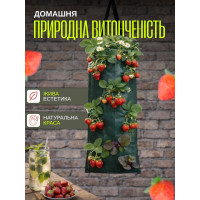 Подвесная вертикальная грядка на 10 карманов (3шт) 25 × 60 см