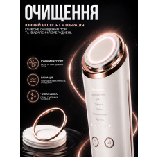 Многофункциональный массажер для лица и шеи 6в1, EMS-микротоки, RF-прогрев, LED-терапию, охлаждение, вибромассаж и ионный уход