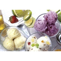 Морозница - Yonanas Healthy Dessert Maker