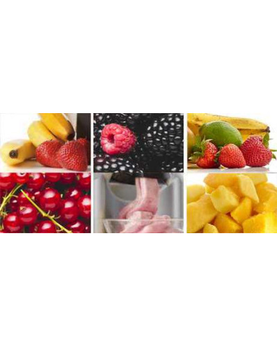 Морозница - Yonanas Frozen + Формы для мороженого